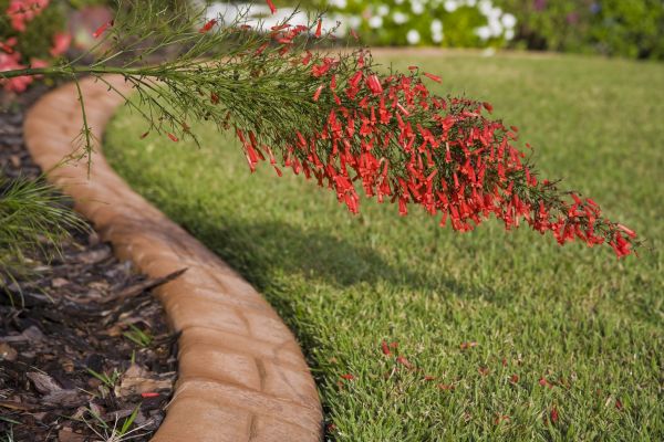 Brick Edging in Portland