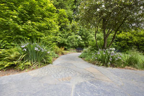 Stone Hardscape Service in Portland